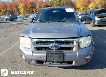 2008 Ford Escape XLT 4WD